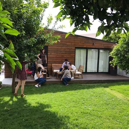 Casa Do Muro Coimbra Eksteriør billede